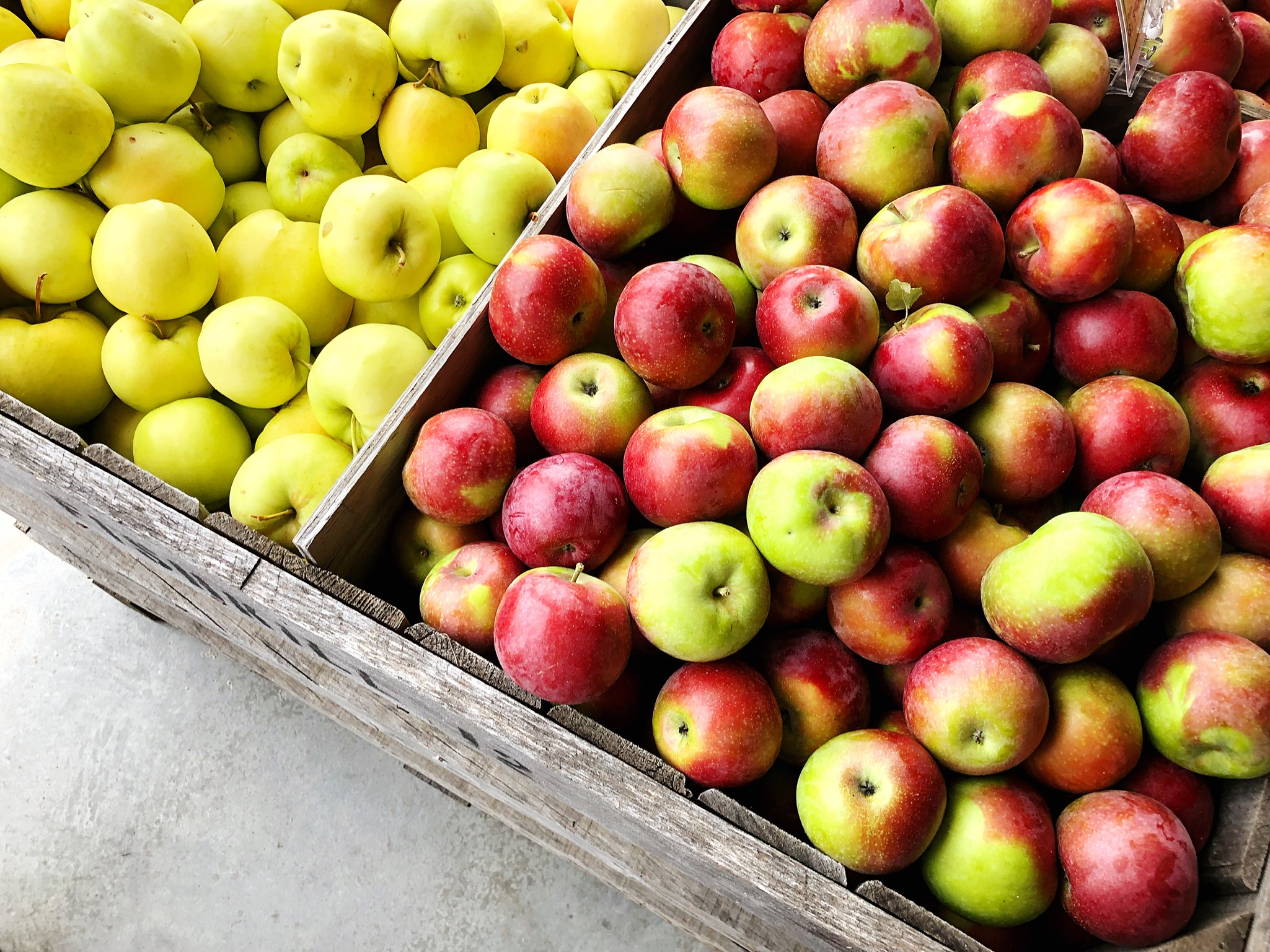 Apple Picking at Fishkill Farms