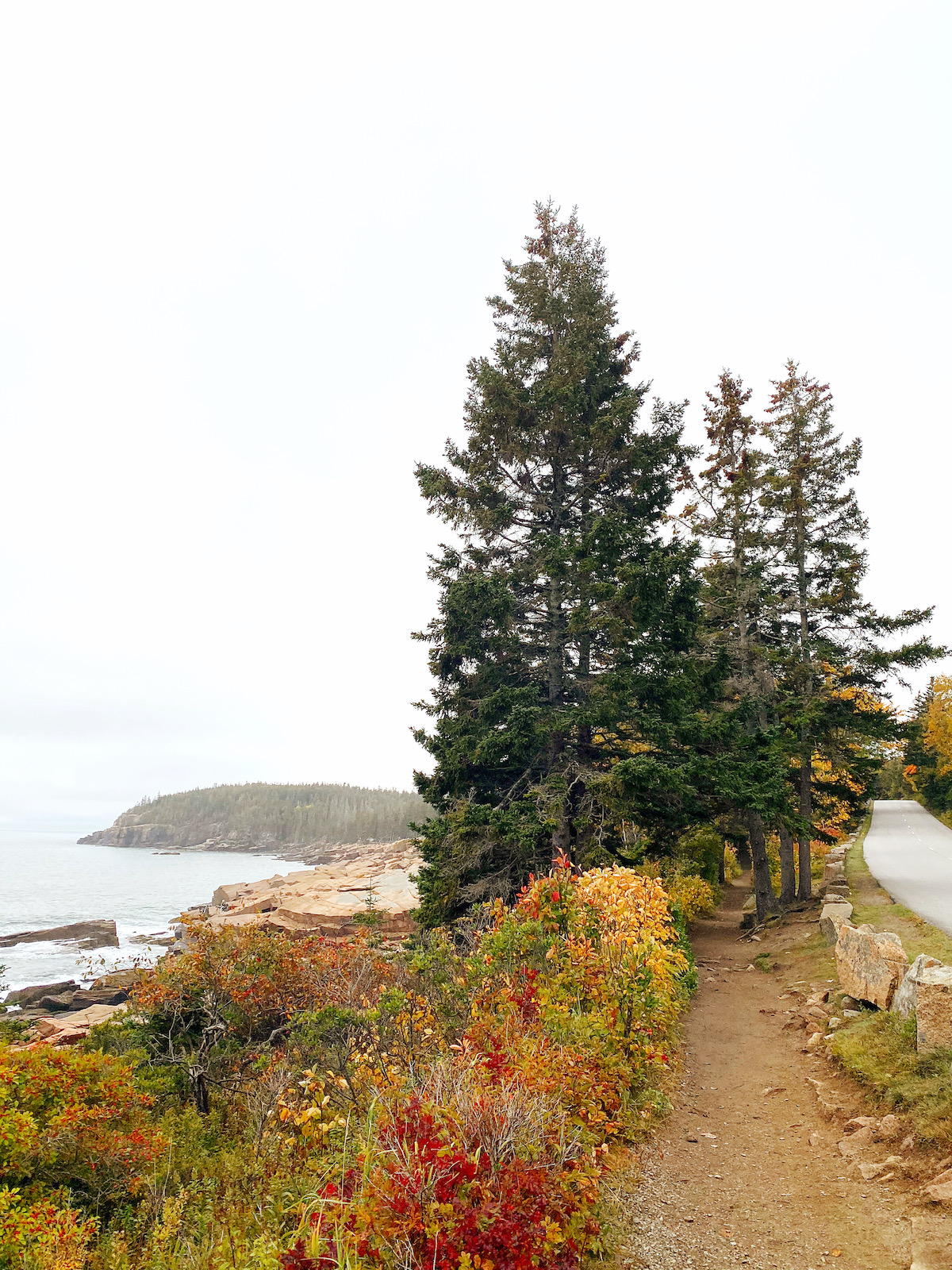 Bar Harbor, Maine | Travel Diary