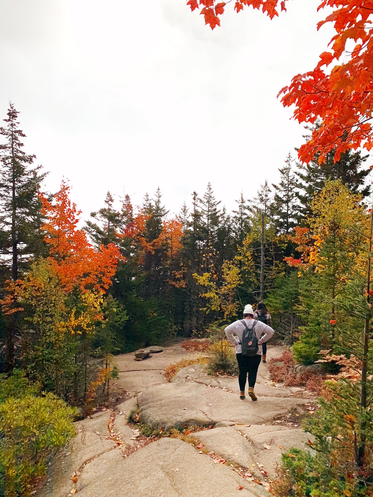 Bar Harbor, Maine | Travel Diary