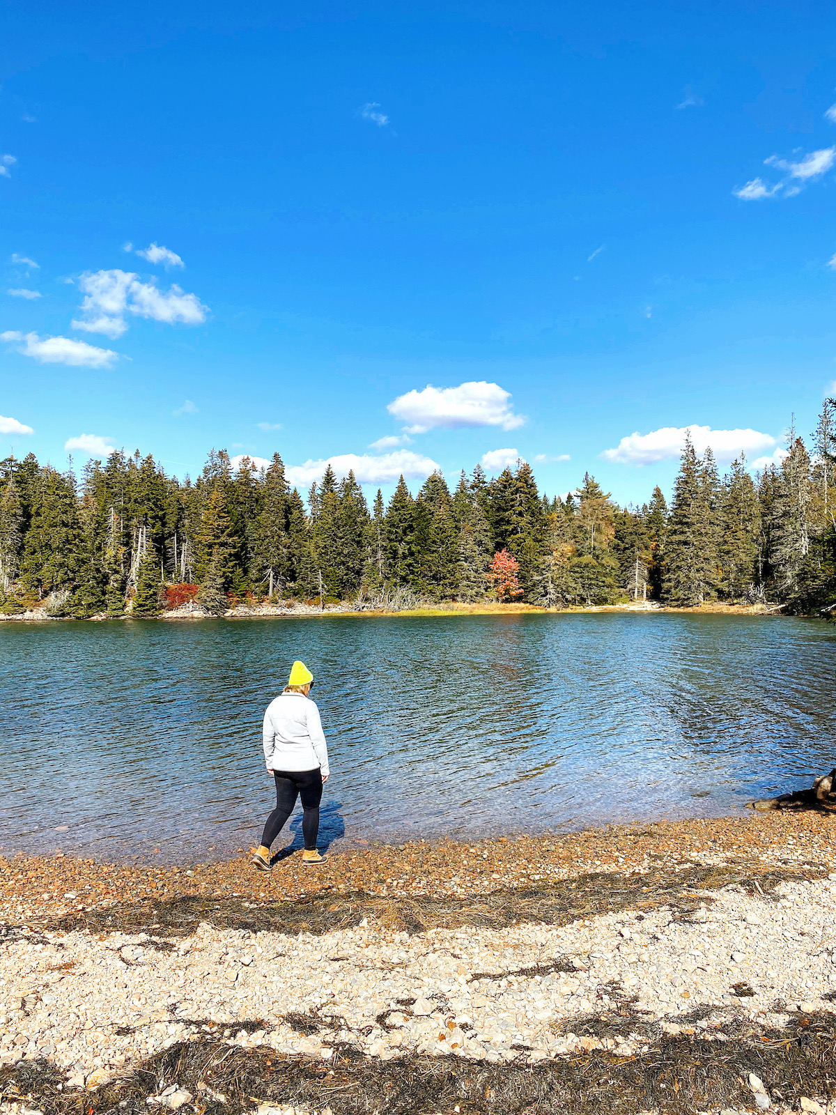 Bar Harbor, Maine | Travel Diary