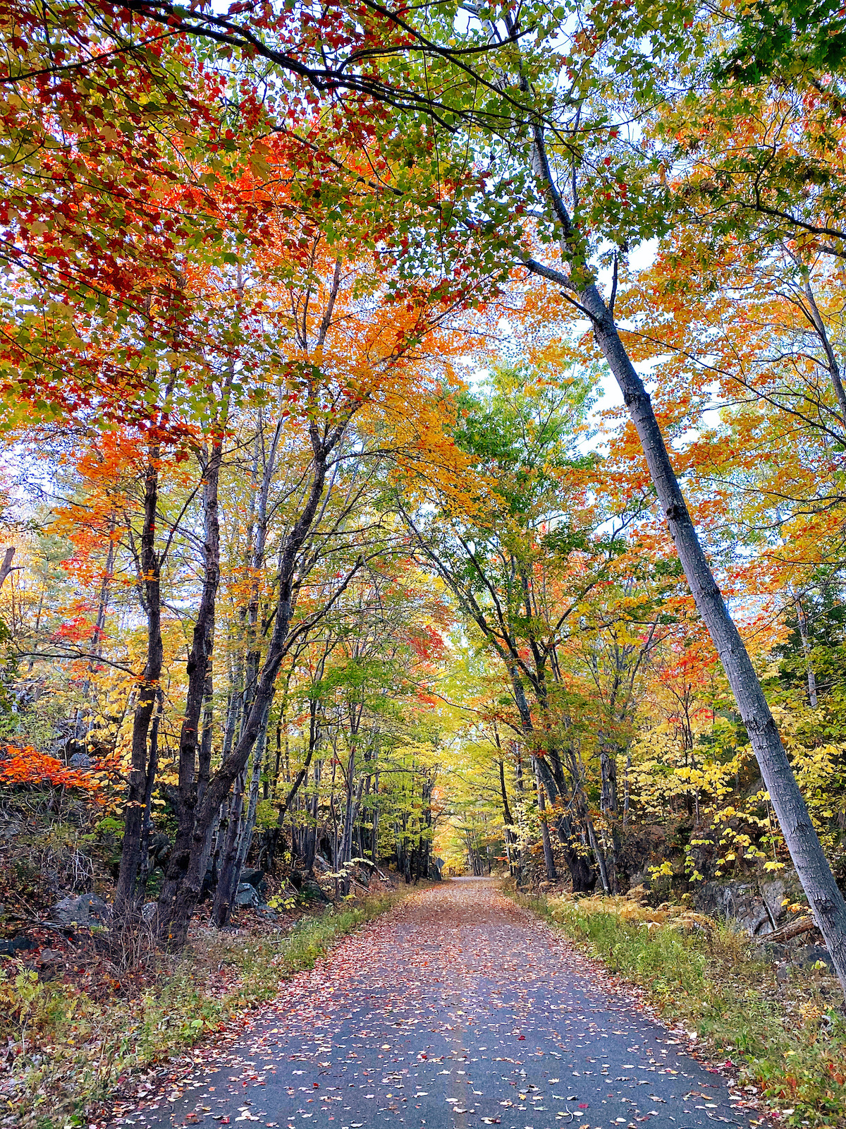 Bar Harbor, Maine | Travel Diary