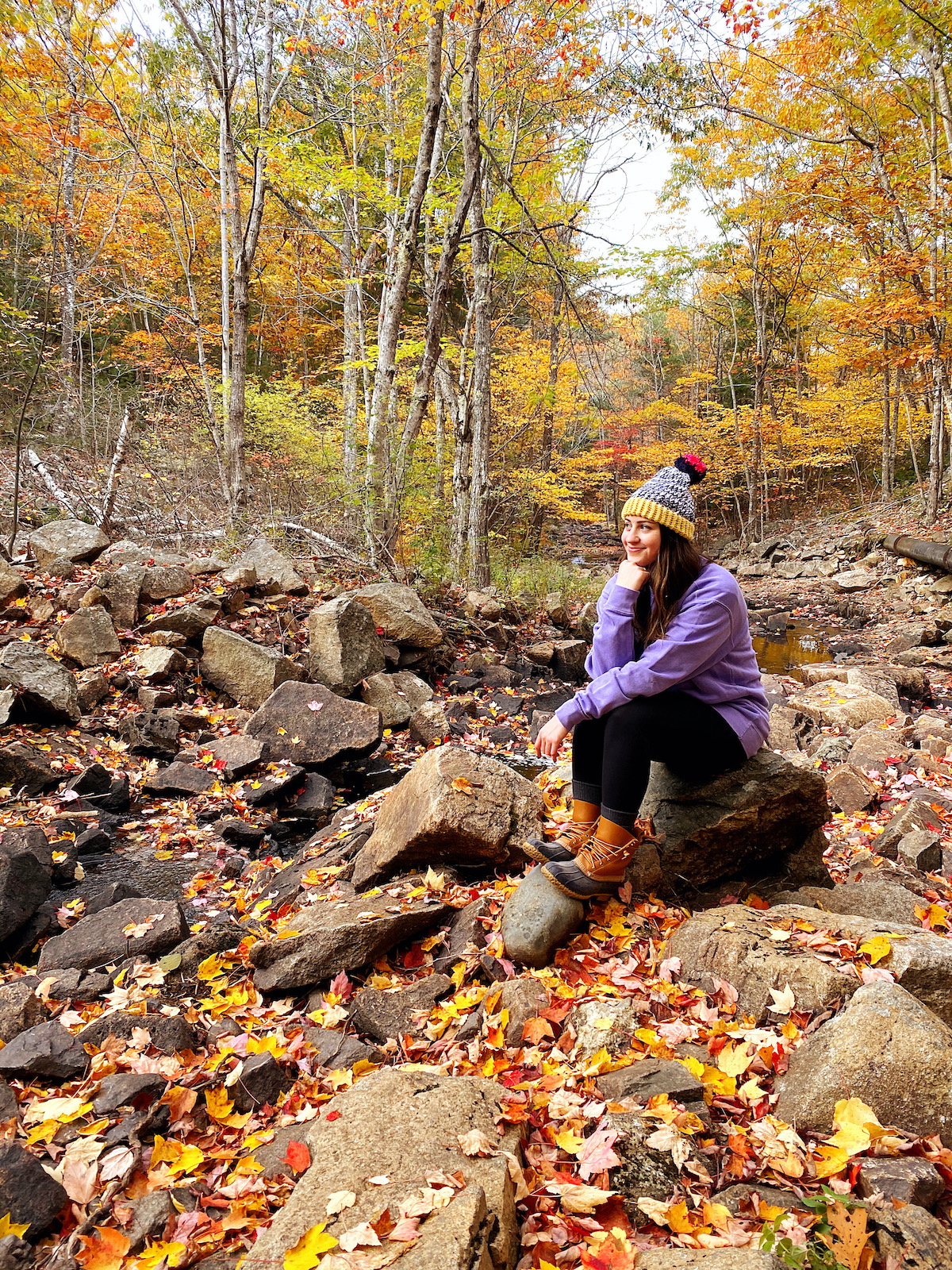 Bar Harbor, Maine | Travel Diary