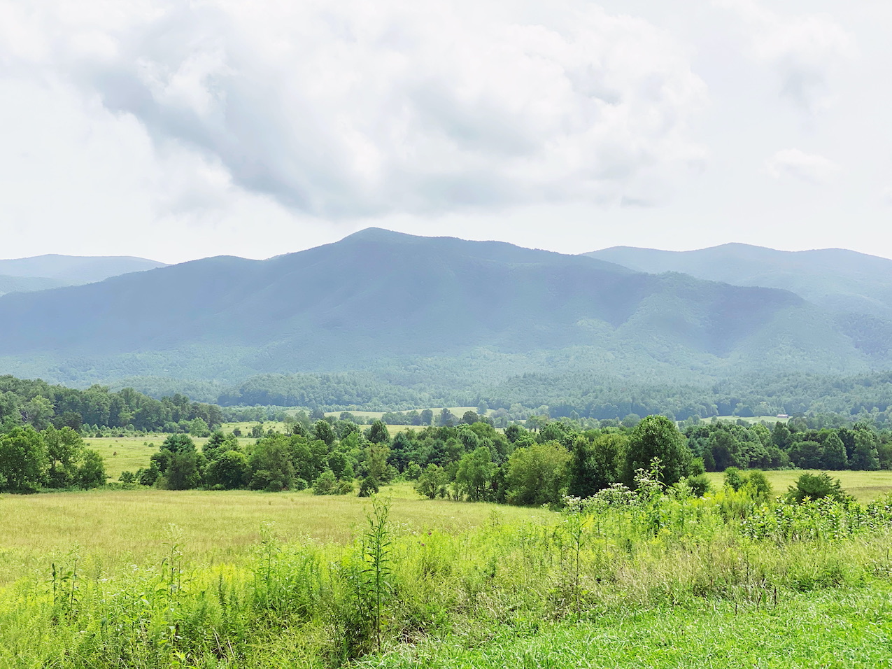 Smoky Mountains | Travel Diary