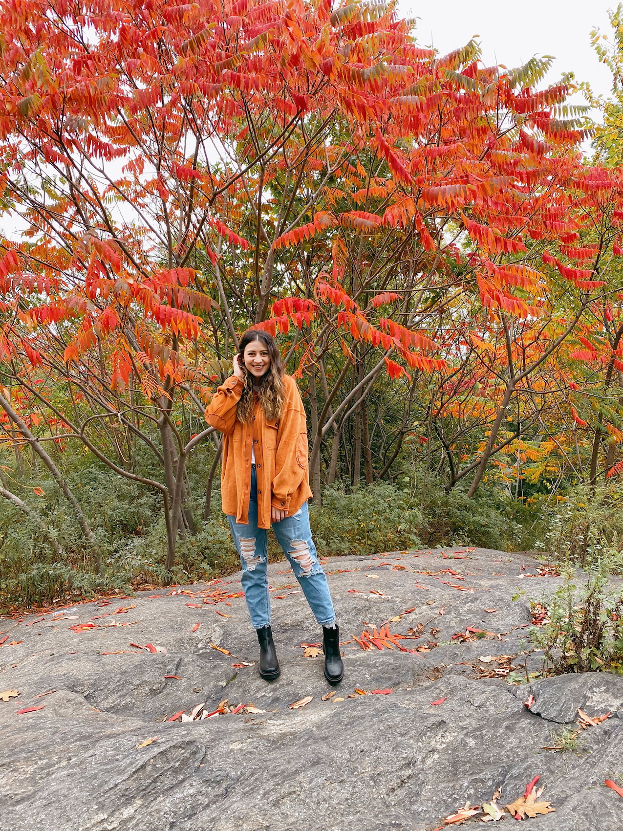 Fall Picnic In Central Park