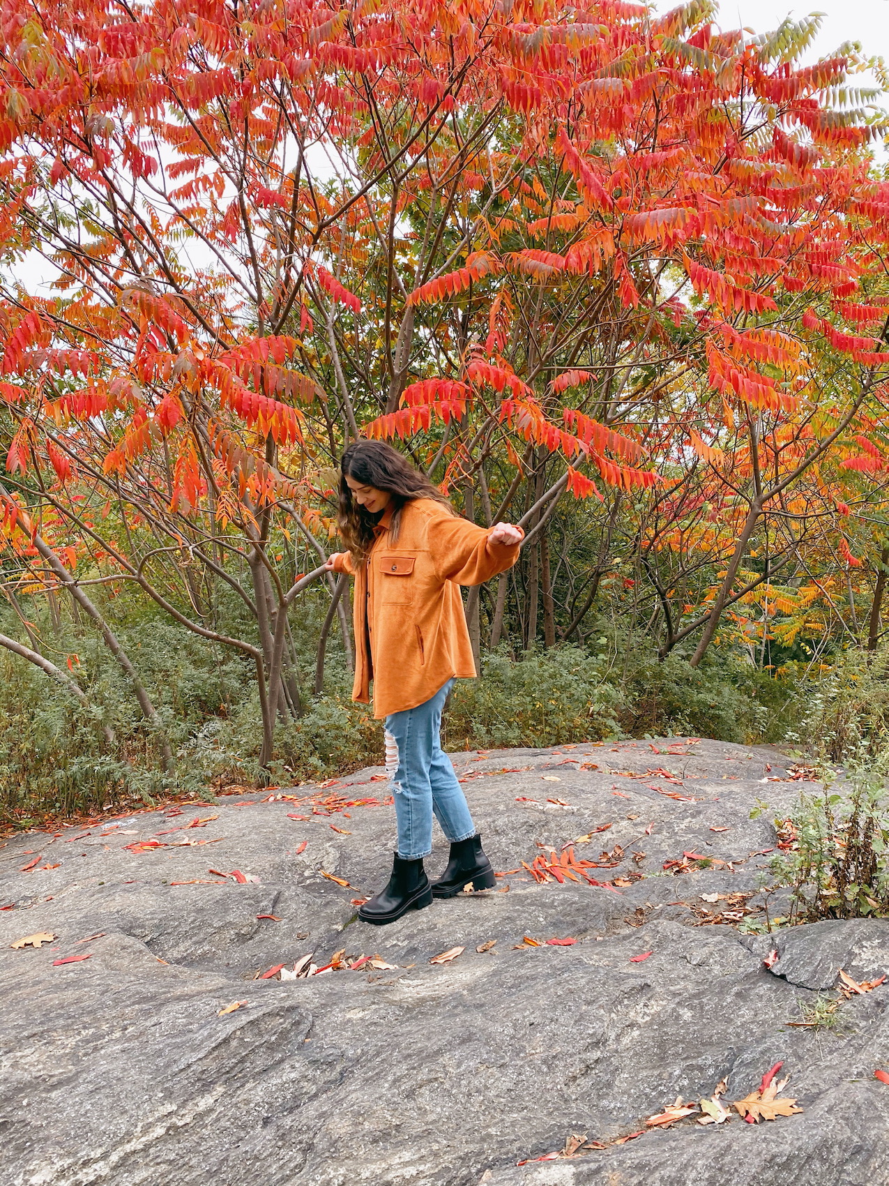 Fall Picnic In Central Park