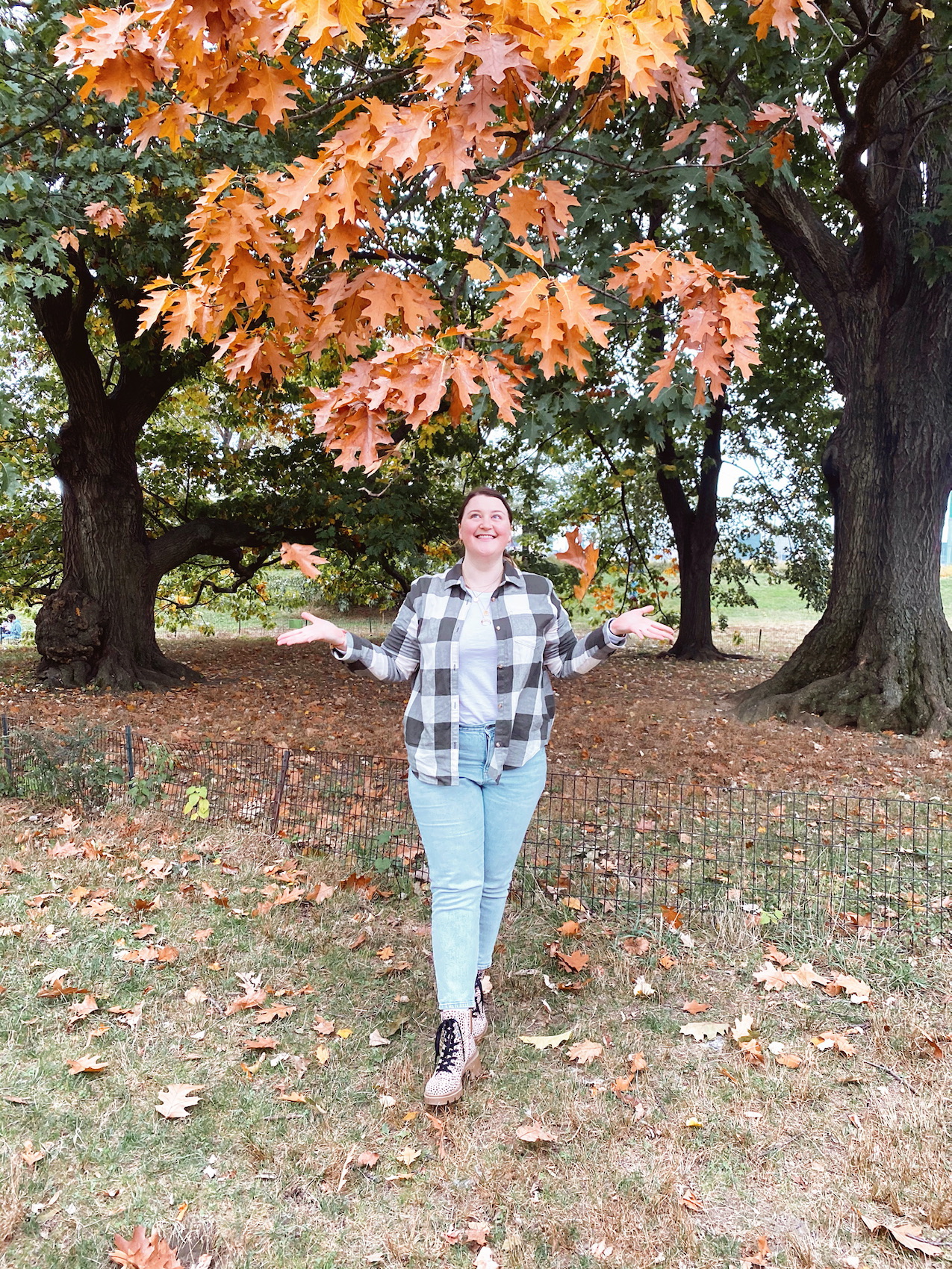 Fall Picnic In Central Park