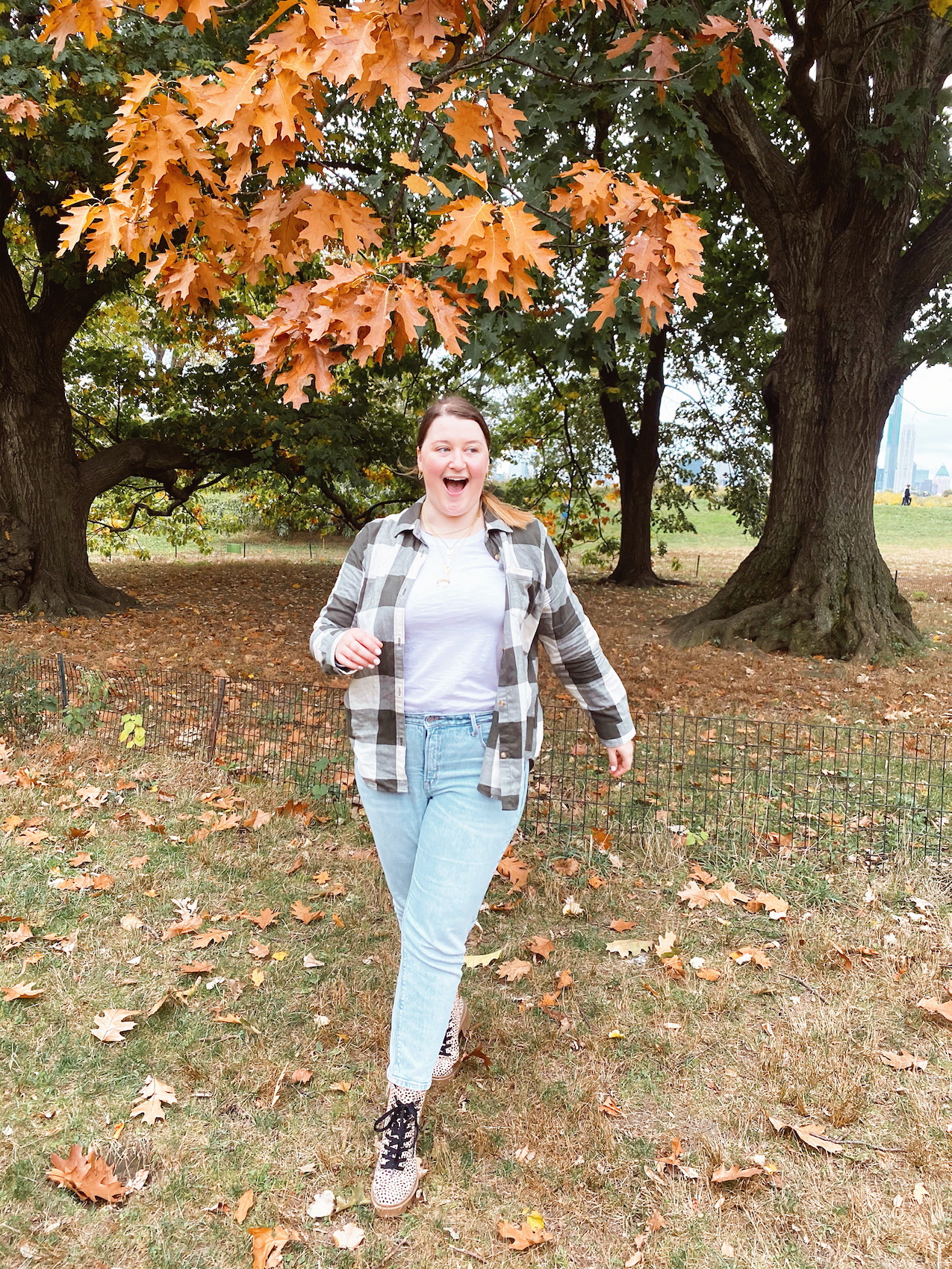 Fall Picnic In Central Park