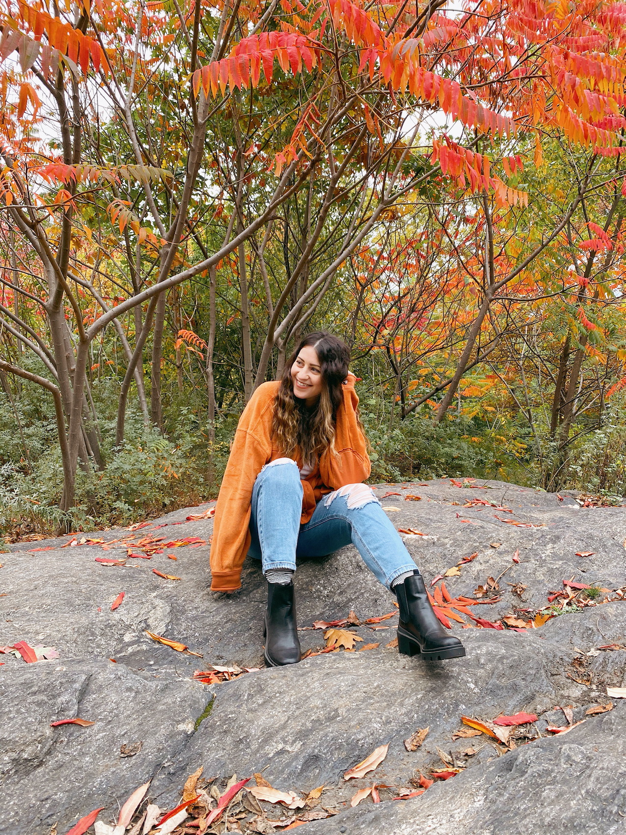 Fall Picnic In Central Park