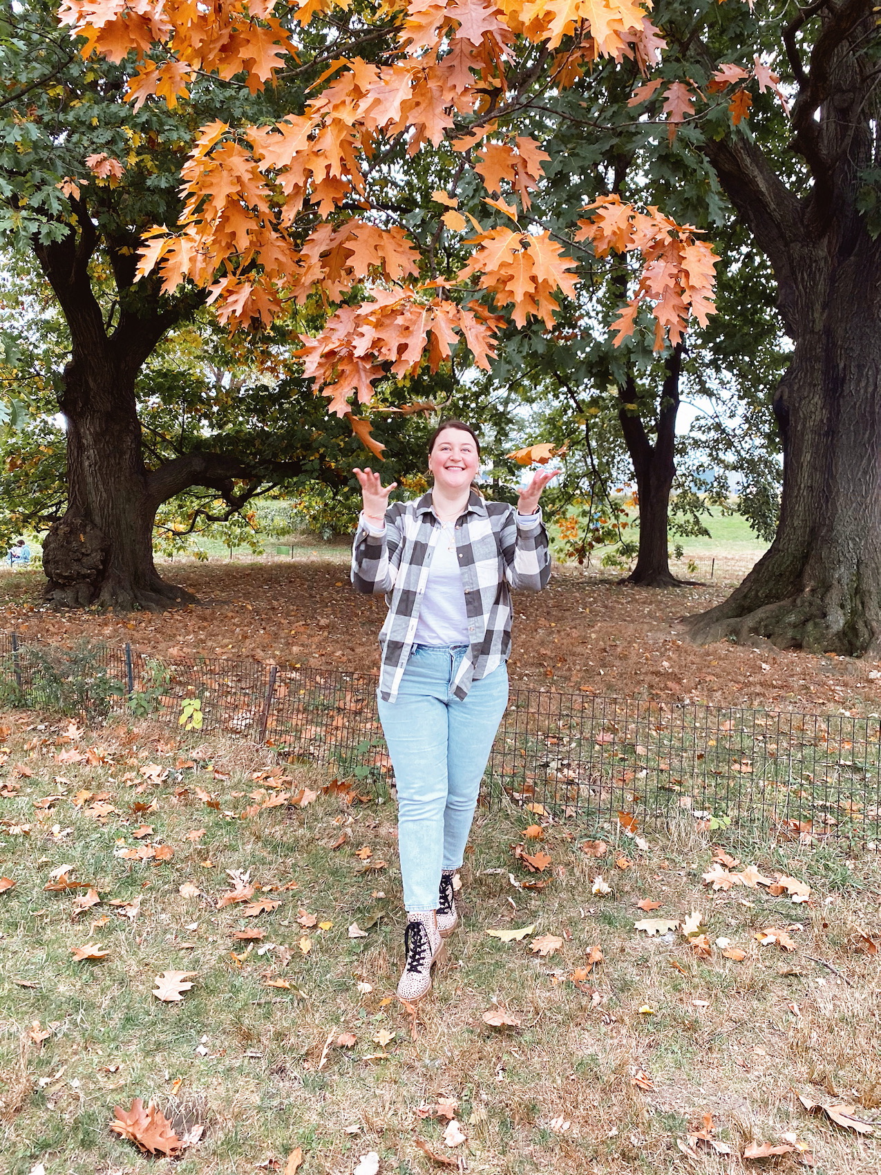 Fall Picnic In Central Park