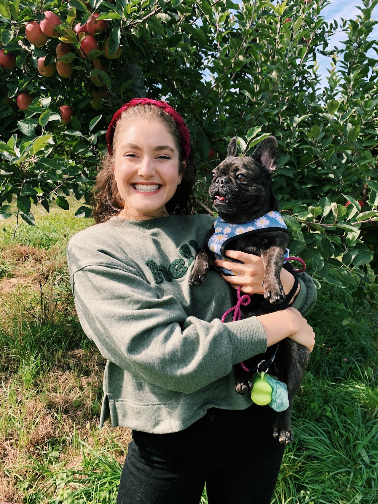 Apple Picking at Warwick Farm