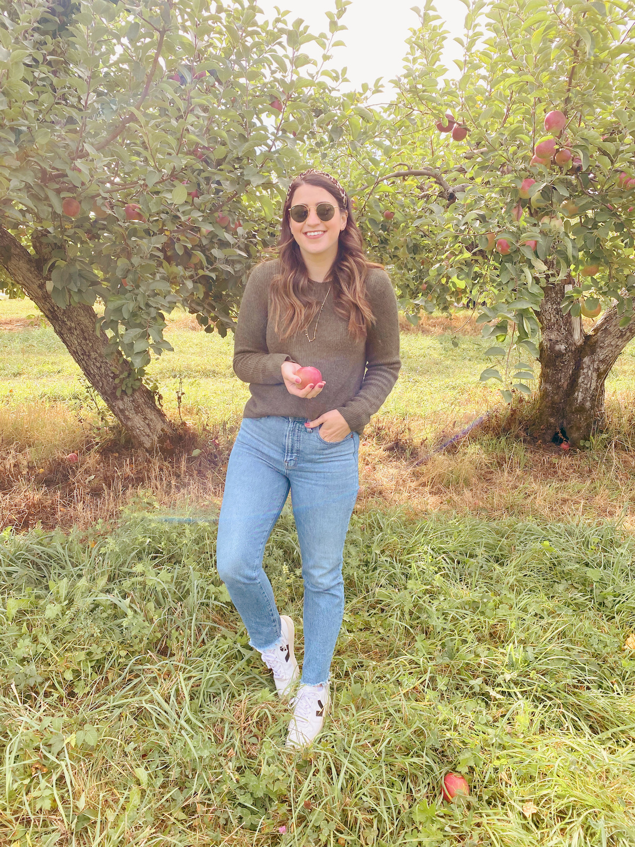 Apple Picking at Warwick Farm