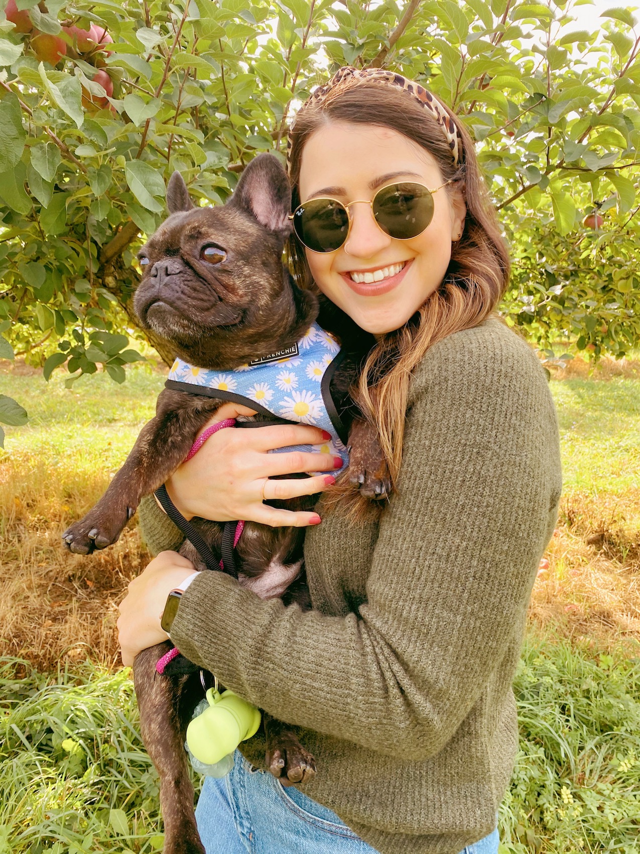 Apple Picking at Warwick Farm