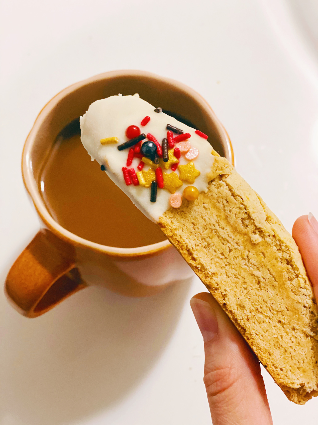 Pumpkin Spice Biscotti | Gluten Free & Vegan