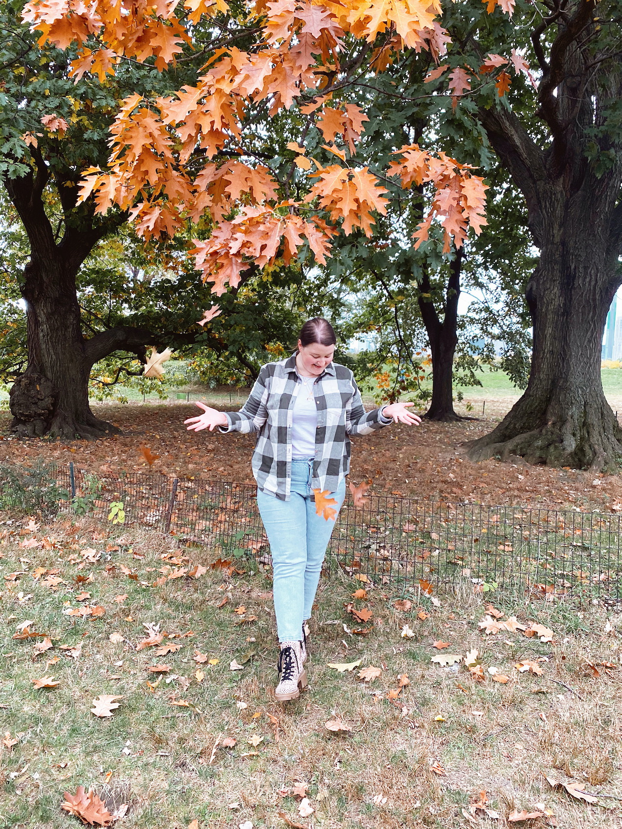 Fall Picnic In Central Park