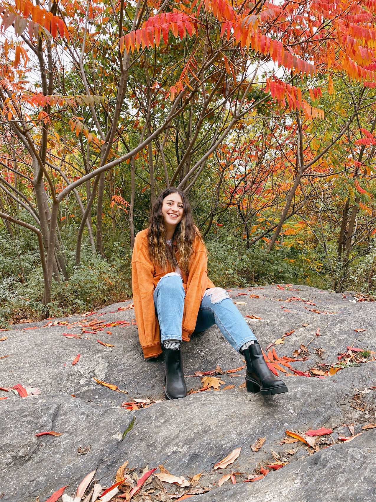 Fall Picnic In Central Park