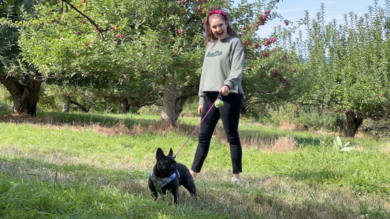 Apple Picking at Warwick Farm