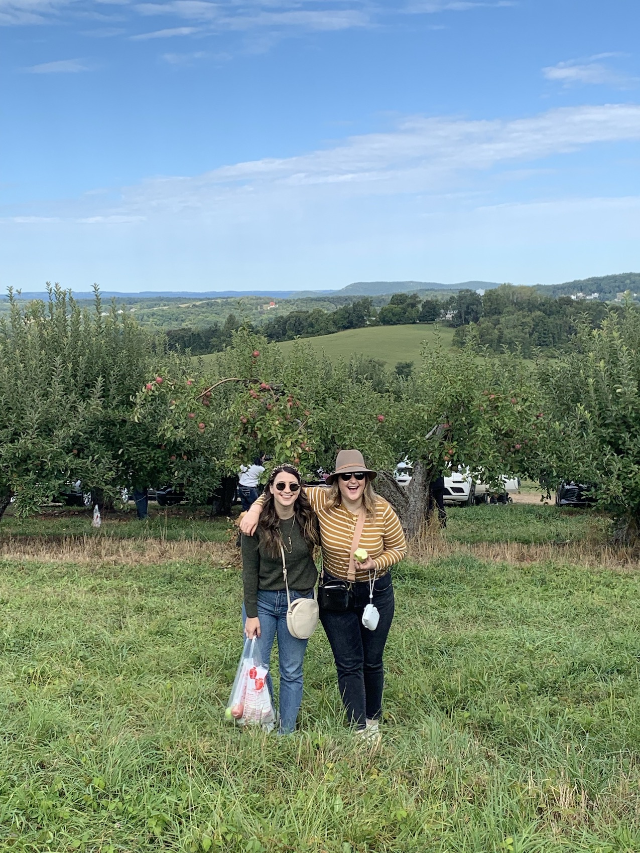 Apple Picking at Warwick Farm