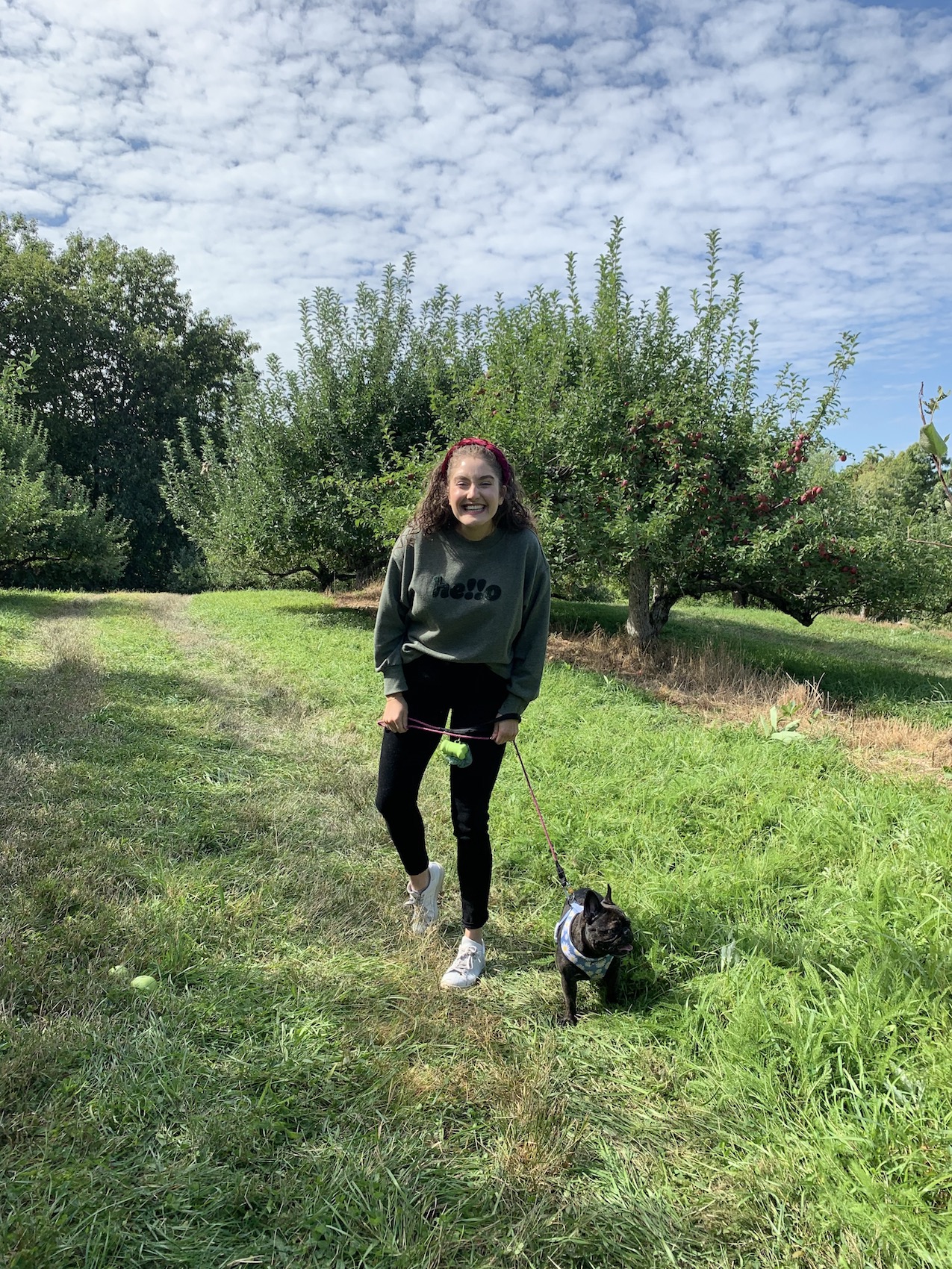 Apple Picking at Warwick Farm