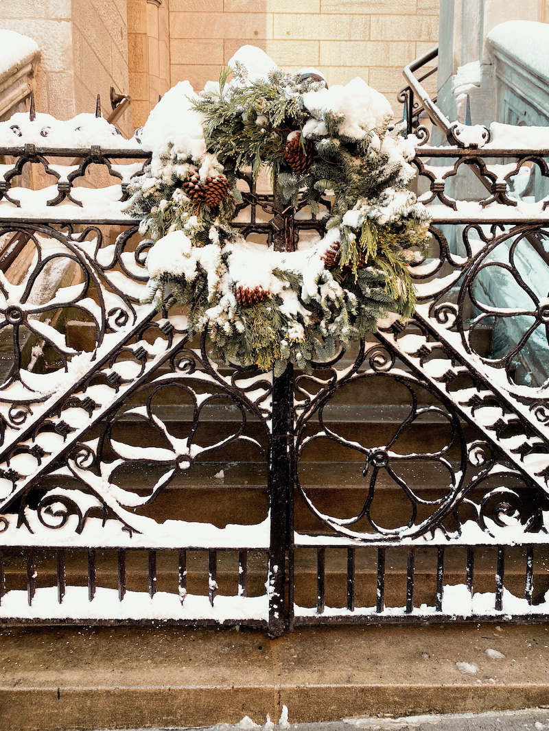 Snow Day In Central Park