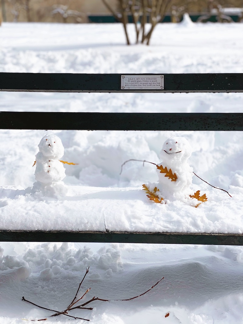 Snow Day In Central Park