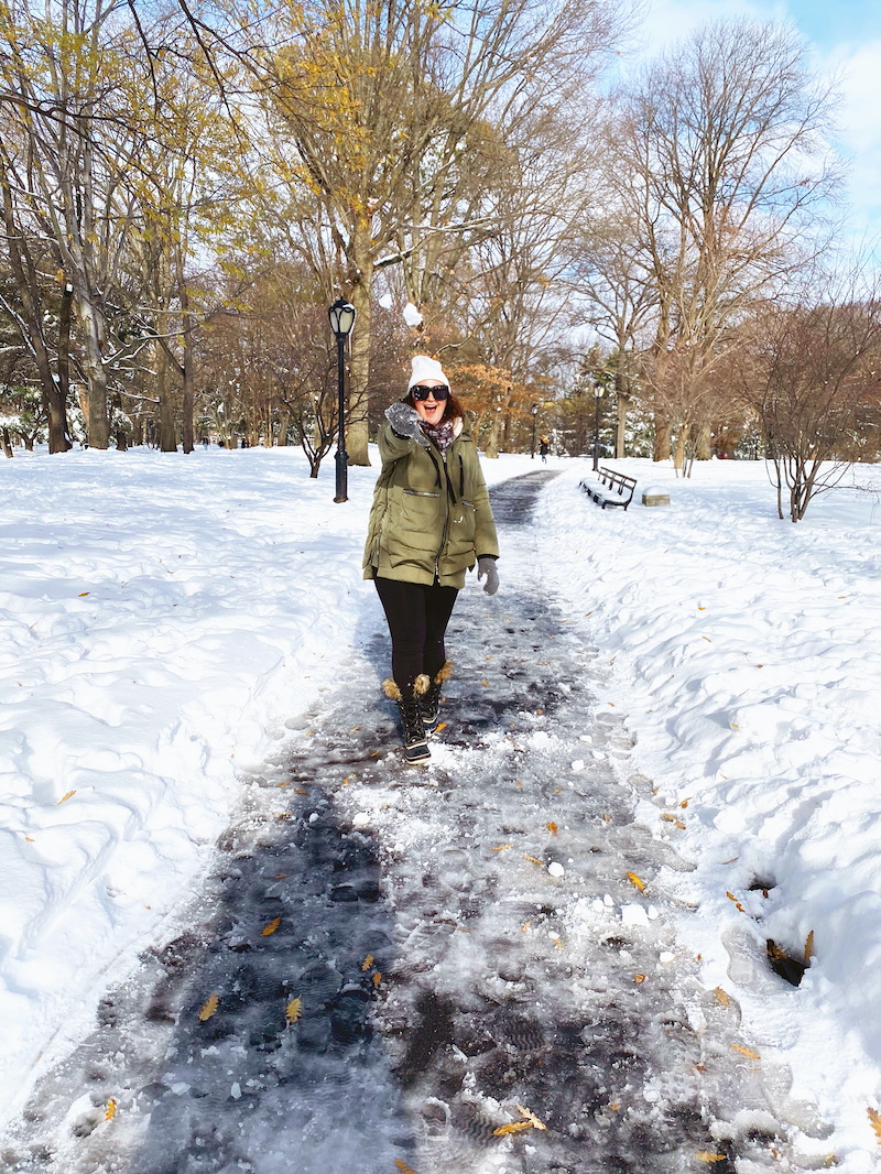 Snow Day In Central Park