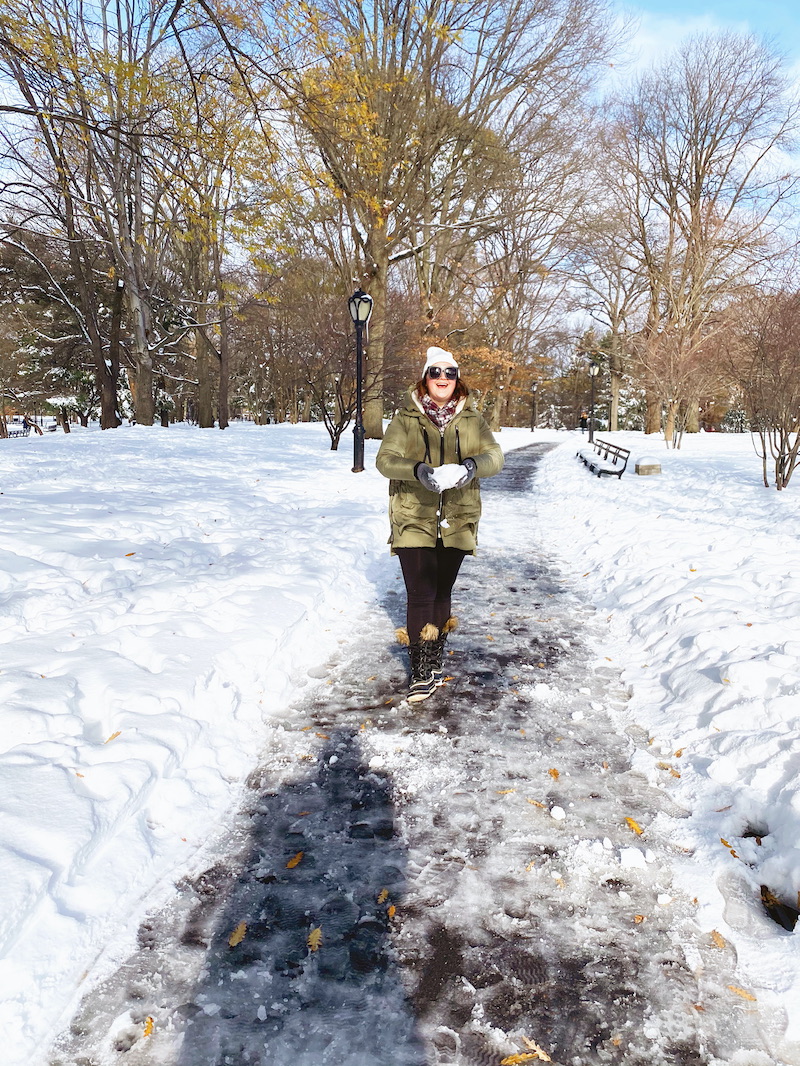 Snow Day In Central Park