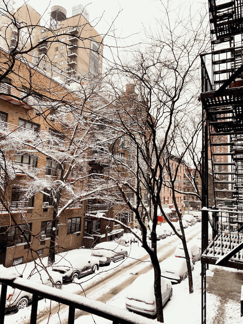 Snow Day In Central Park