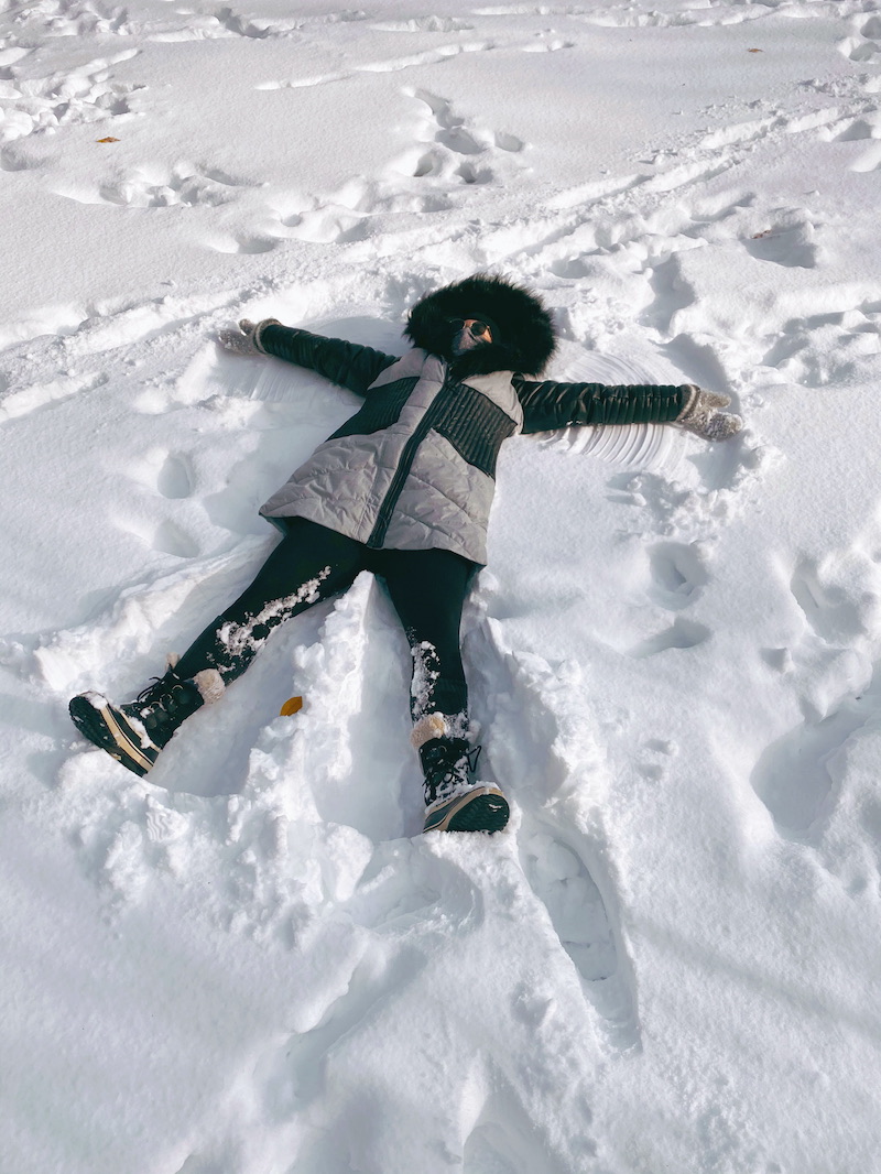 Snow Day In Central Park