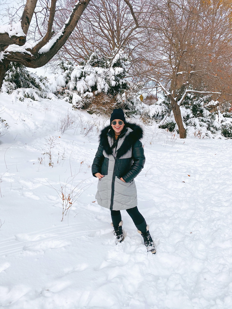 Snow Day In Central Park