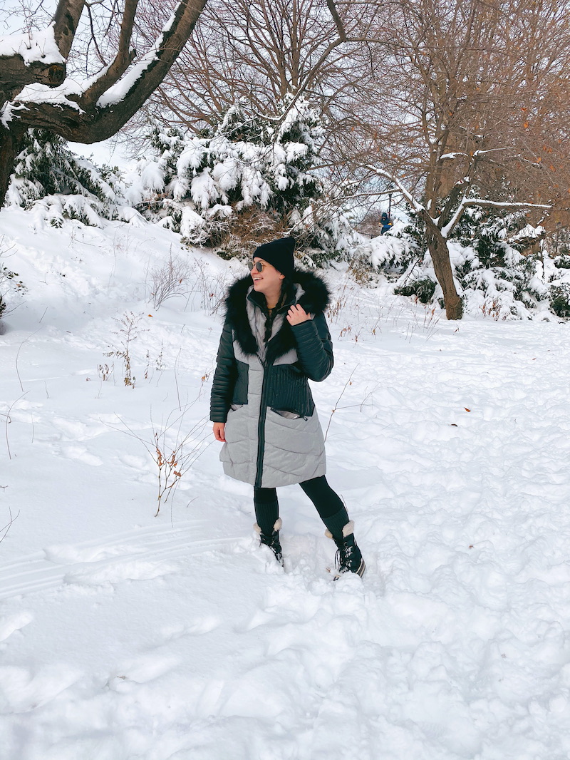 Snow Day In Central Park