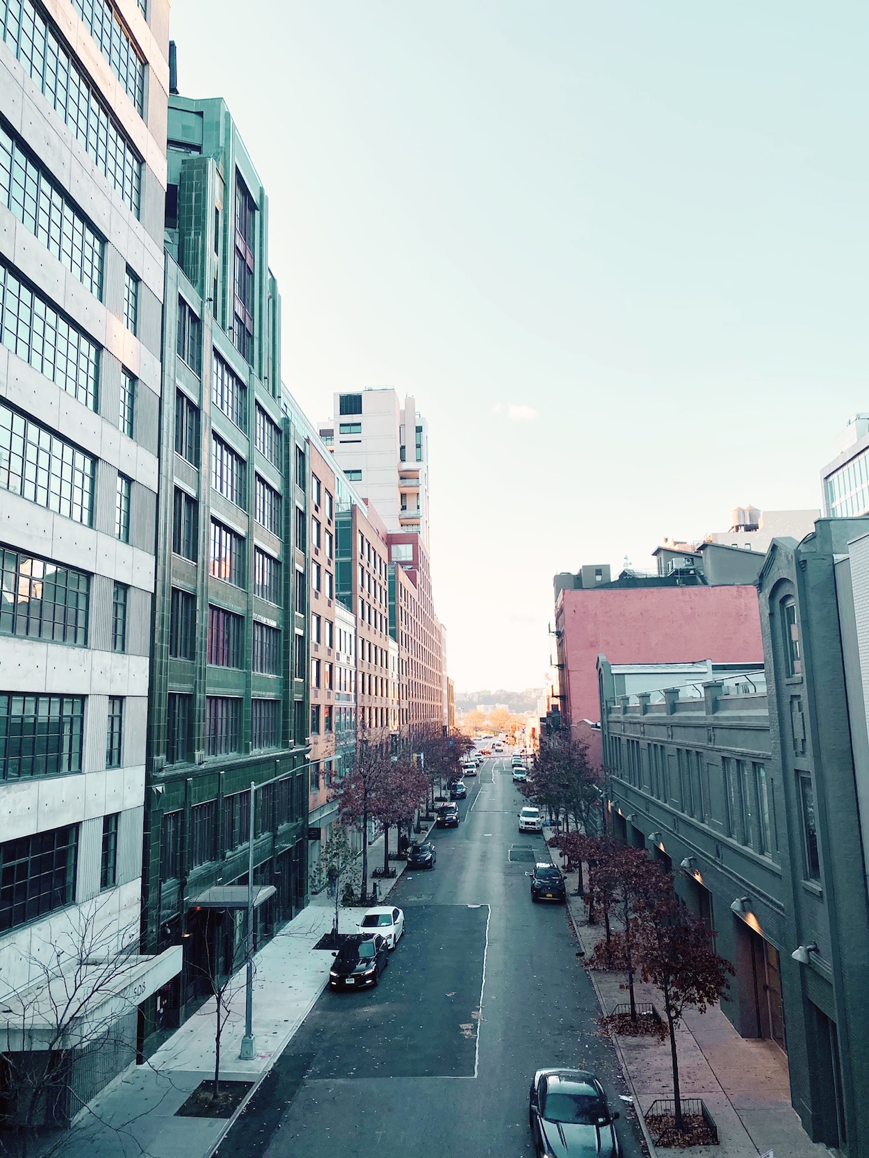 Hudson Yards & The Highline