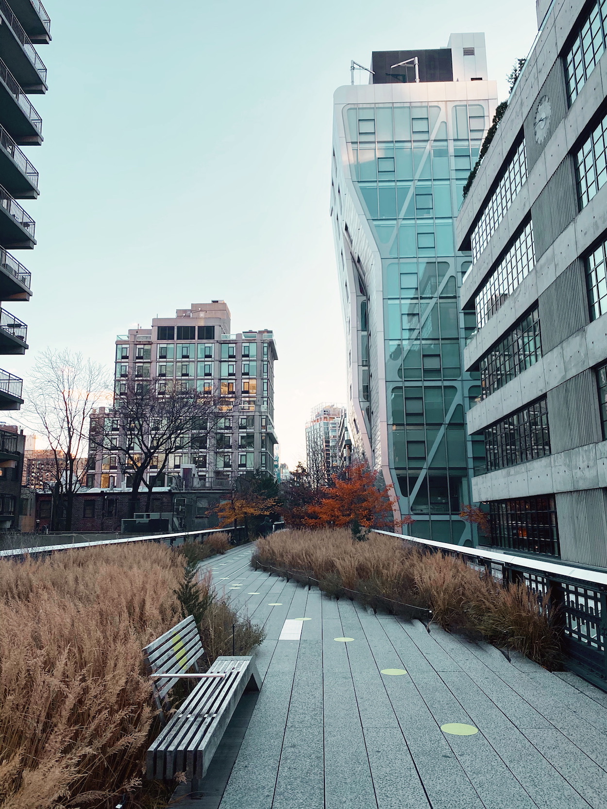 Hudson Yards & The Highline