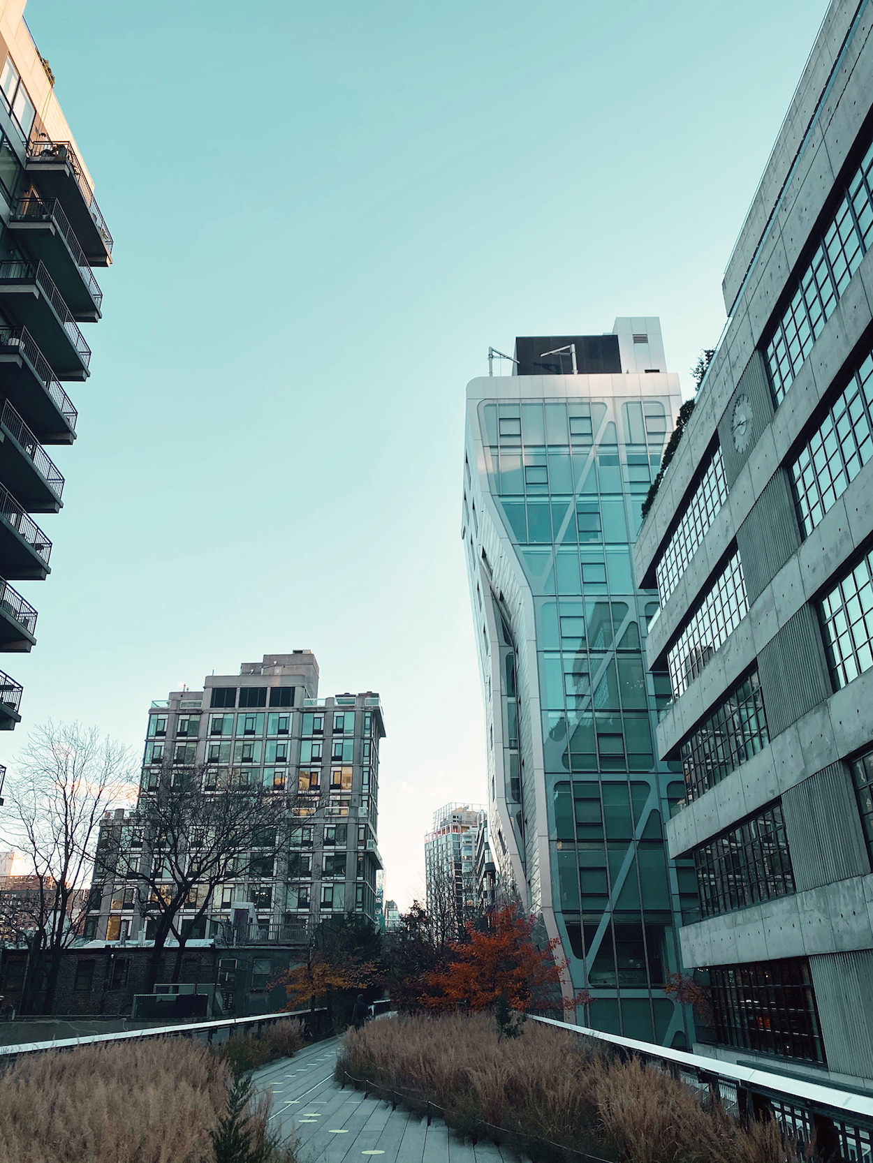 Hudson Yards & The Highline