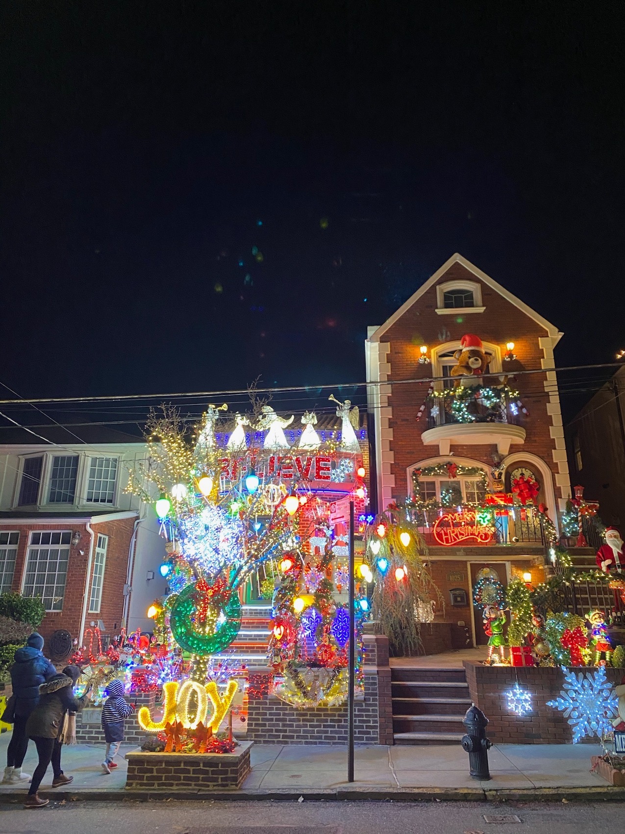 Dyker Heights Christmas Lights