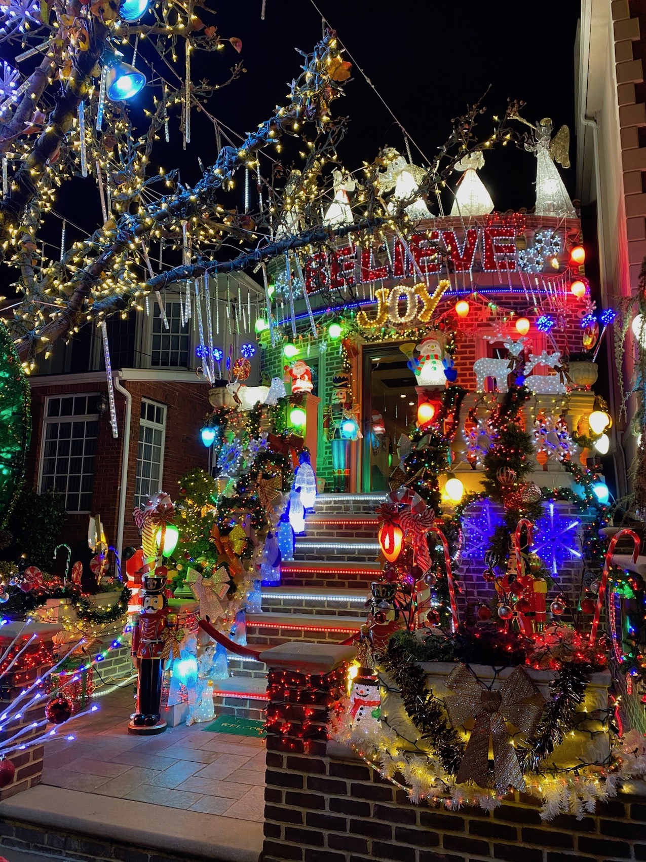 Dyker Heights Christmas Lights