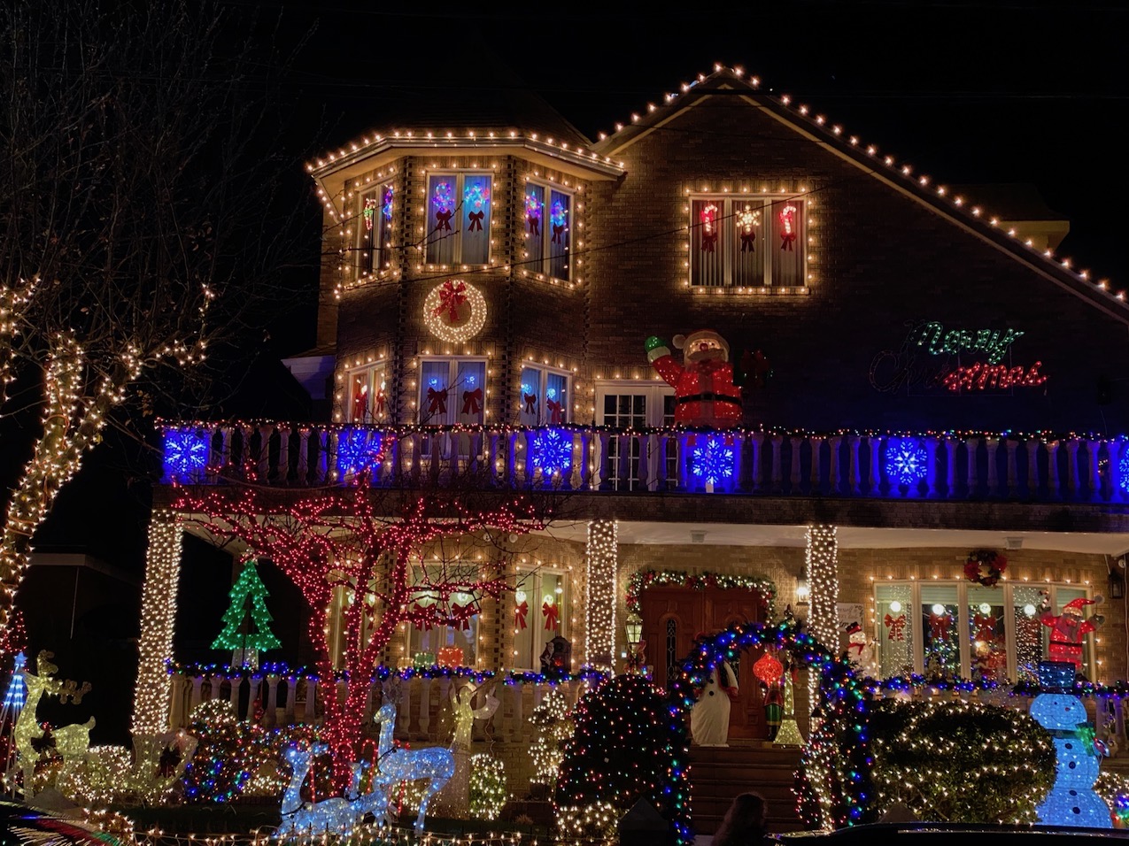 Dyker Heights Christmas Lights