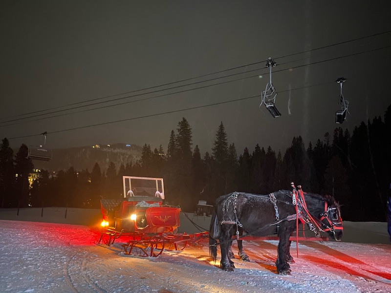 Breckenridge, Colorado | Travel Diary