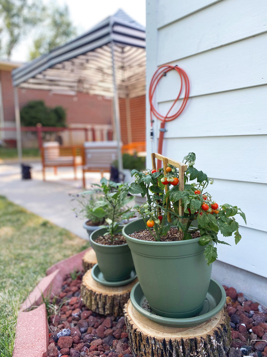 Denver House Tour: Backyard Reveal