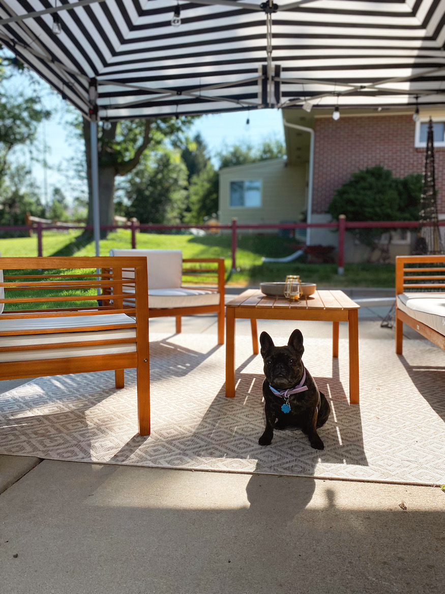 Denver House Tour: Backyard Reveal