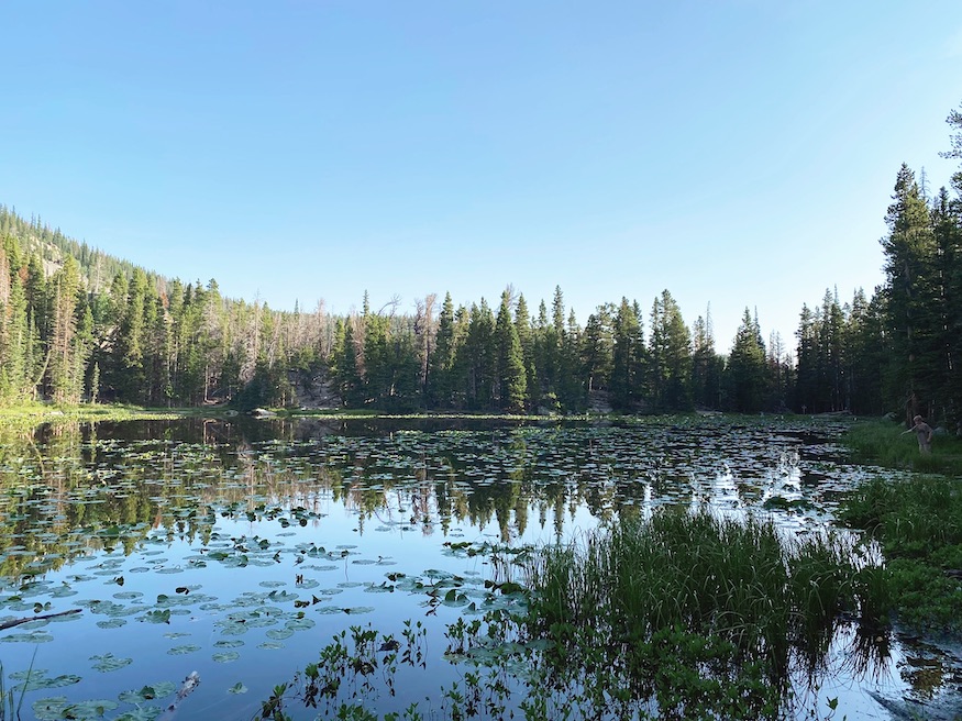 How To Spend One Day In Rocky Mountain National Park In The Summer